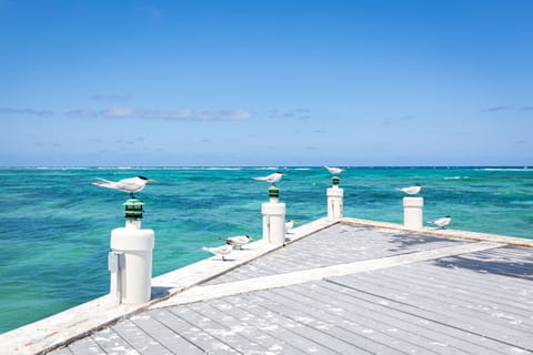 On the beach, sun loungers