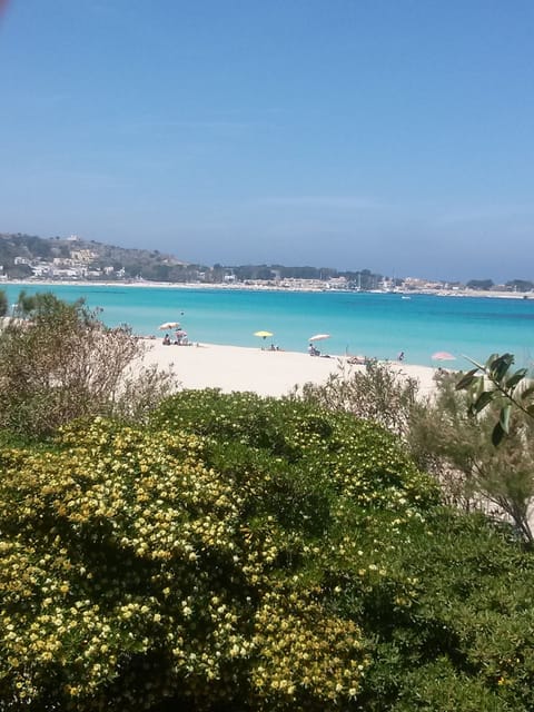 On the beach, sun loungers, beach towels