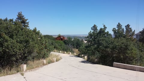 Privet driveway, just for you and your family