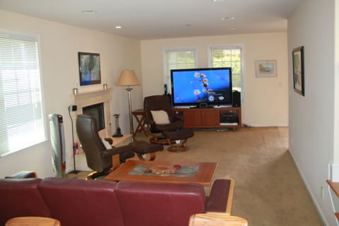 TV, DVD player, video library, stereo