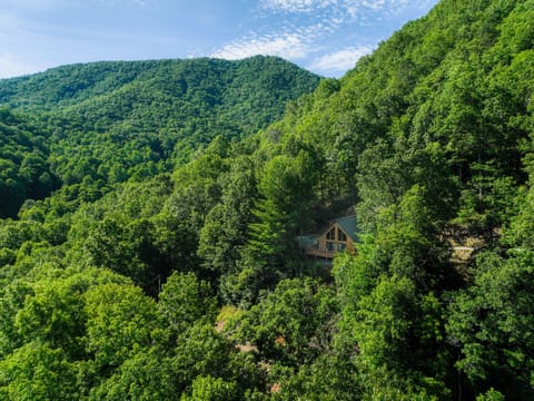 Drone view of the cabin (covered deck added May 2025 not shown in photo)