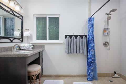 Combined shower/tub, hair dryer, towels, soap