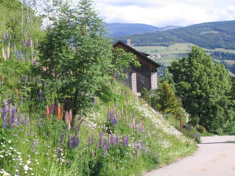 The end of the street to the neighbour