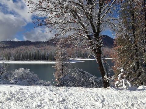 Bass Lake in the winter