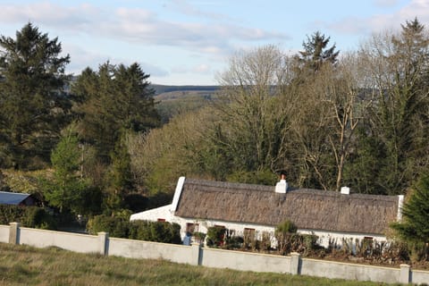 Historic Thatched Long Cottage in the valley of the Ox Mountains.. Hot tub 
