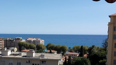 Beach/ocean view