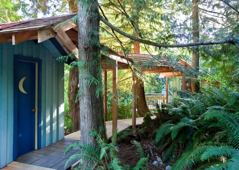 Our no-flush toilet on a boardwalk. Cedar planks below and cedar shingles above.