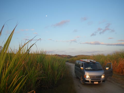 Onsite parking, car recommended