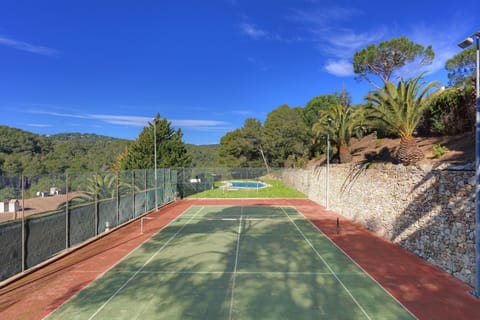 Sport court