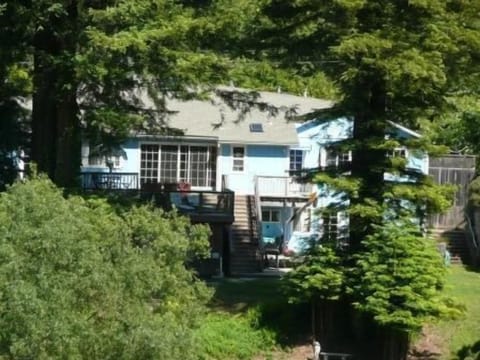 Exterior view of house and redwoods