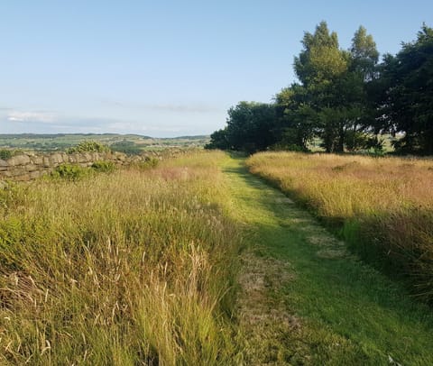 This is our wild garden, directly accessed from the cottage. 