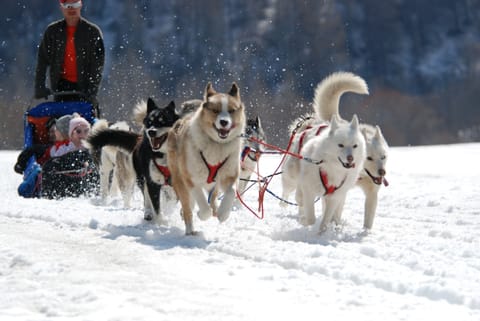 Snow and ski sports