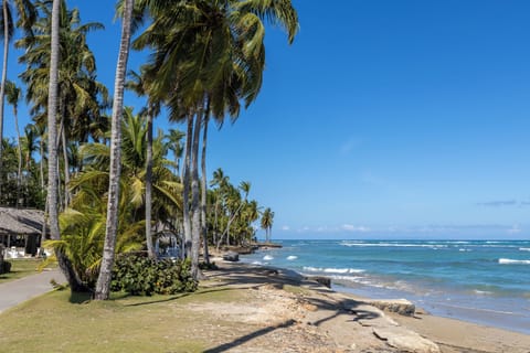 Beach nearby, sun loungers, beach towels