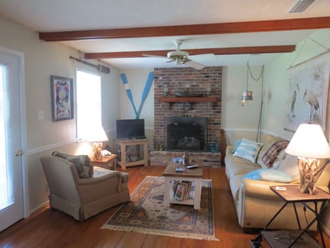 TV, fireplace, books