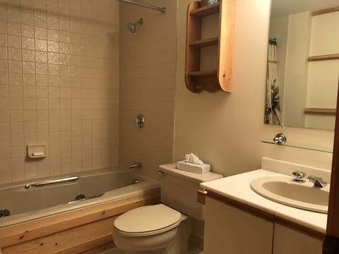 Combined shower/tub, hair dryer, towels