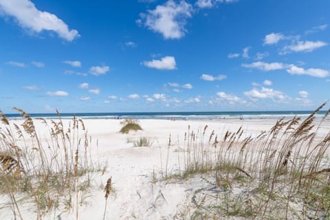 On the beach, sun loungers, beach towels