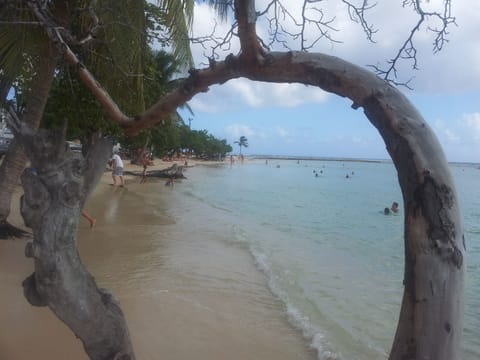 Beach nearby, sun loungers