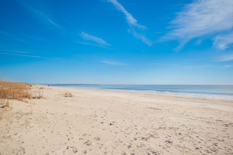 On the beach