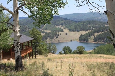 Picturesque views of the mountains and lake (just steps away from the house).