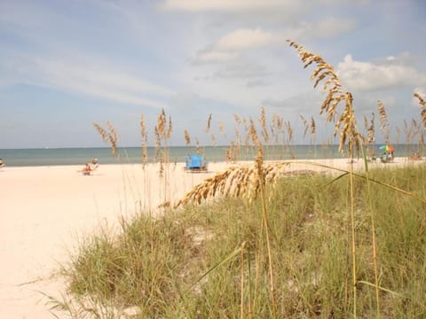 Beach nearby, sun loungers