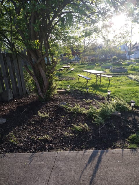 community garden next to garage