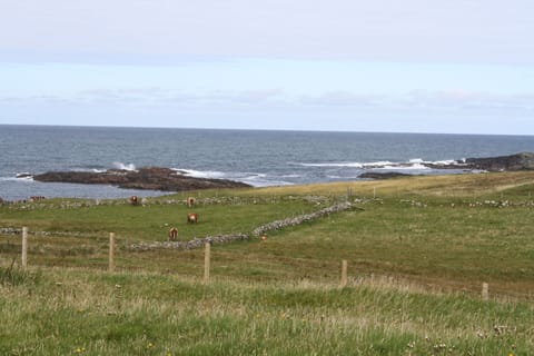 The cottage is in a crofting area used to graze cattle and sheep
