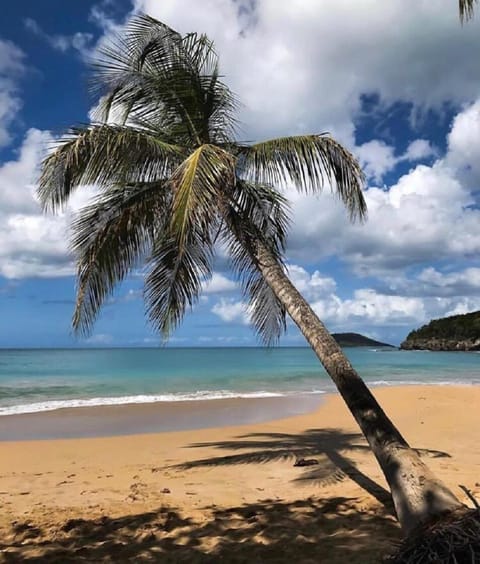 Beach nearby, beach towels