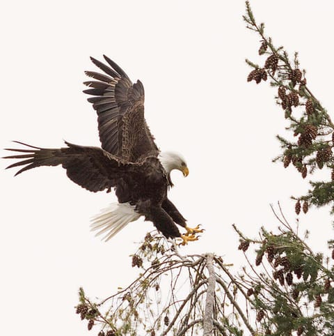 07b2a7c5-e18e-4620-bf1c-4dafa9cc0fa2