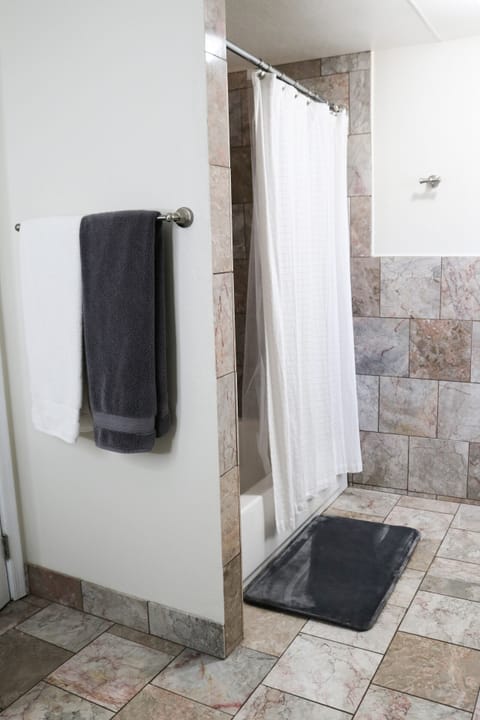 Combined shower/tub, hair dryer, towels, toilet paper