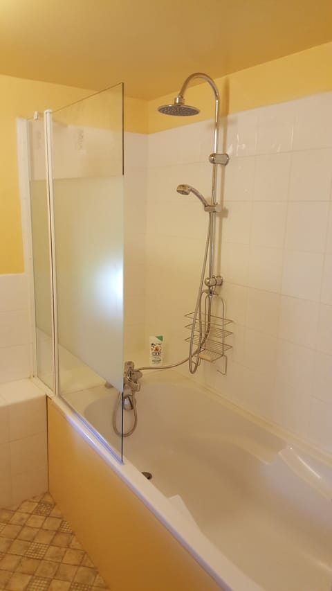 Combined shower/tub, hair dryer, soap