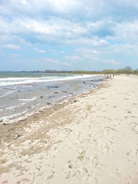 On the beach