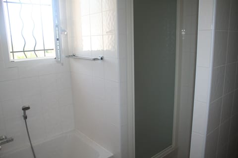 Combined shower/tub