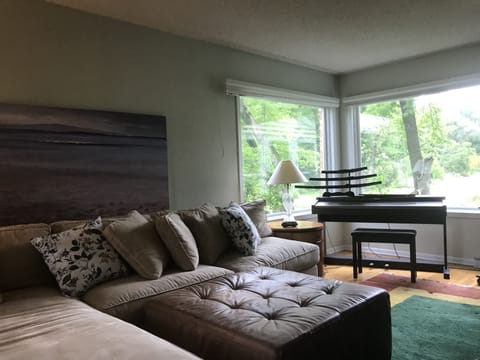 TV, fireplace, books