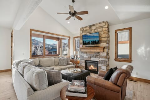 TV, fireplace, books