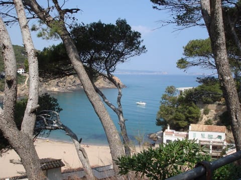 Beach/ocean view