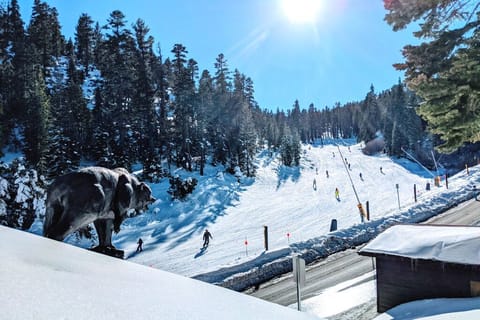 Ski In / Ski Out @ Heavenly from the iconic house with the bear on the roof!