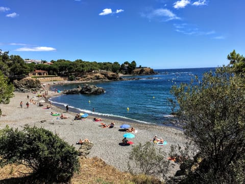 The Tonyines and Farella beaches just 250m from the apartment