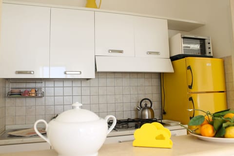 Fridge, oven, stovetop, electric kettle