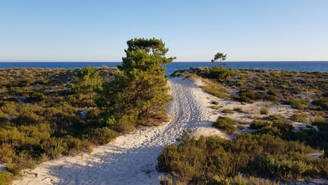 Beach nearby