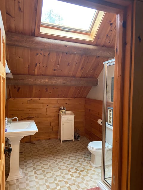 Combined shower/tub, hair dryer, heated floors, soap