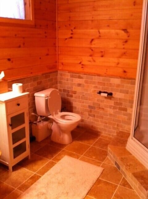Combined shower/tub, hair dryer, heated floors, soap