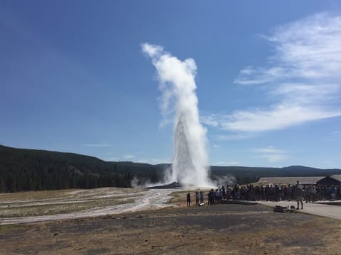 Yellowstone National Park and Old Faithful!!
