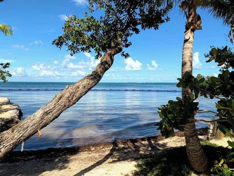 On the beach, sun loungers, beach towels