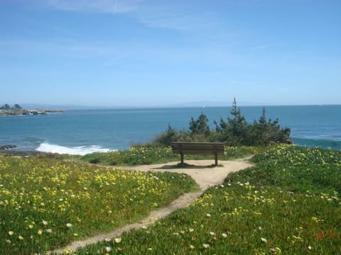 Stroll to many meditative spots along West Cliff Drive~