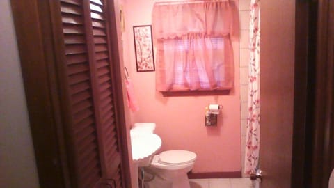 Combined shower/tub, hair dryer, towels, soap