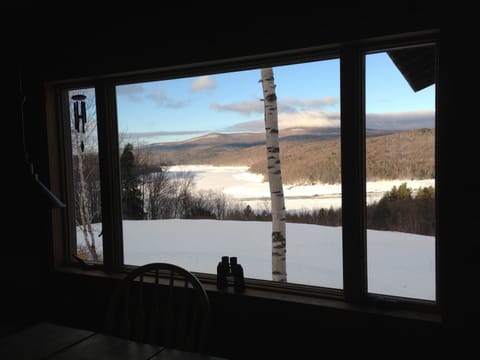 Winter Lake view from dining area