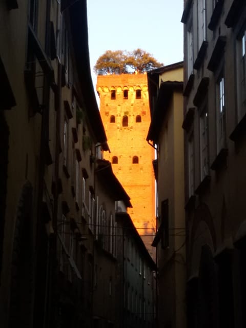 "Guinigi" tower