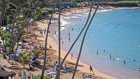 Sun loungers, beach towels