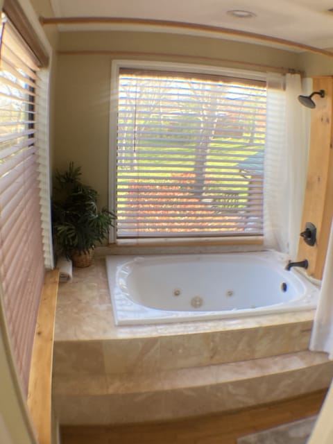 Combined shower/tub, jetted tub, hair dryer, towels