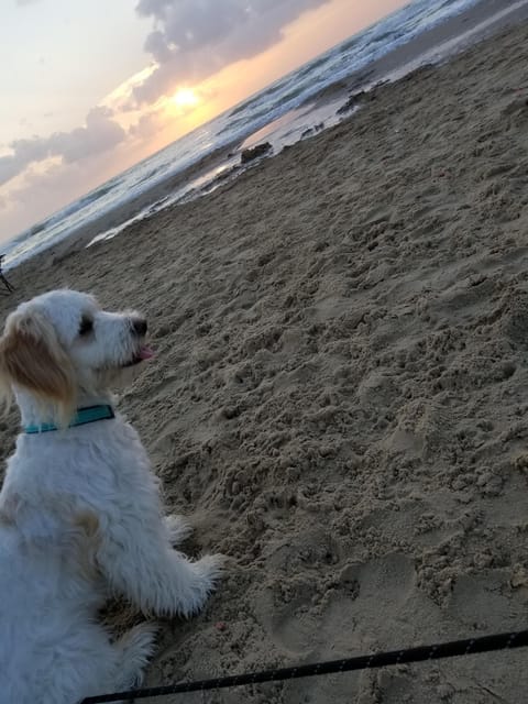 On the beach, beach towels